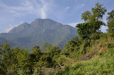 Nilgiri-Blue-Mountain-Train, Mettupalayam - Coonoor_DSC5382_H600